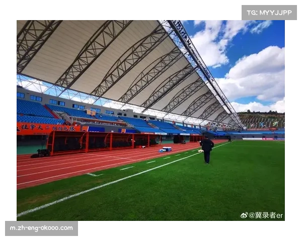 云南玉昆22163人主场 新兴市场潜力吸引商业资本关注